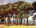 Kiefer Cap d Antibes Claude Monet